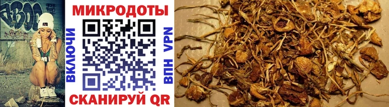 цена наркотик  Александровск-Сахалинский  Галлюциногенные грибы Psilocybe 